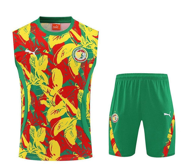 Senegal 2025 Training Kit - Senza Maniche